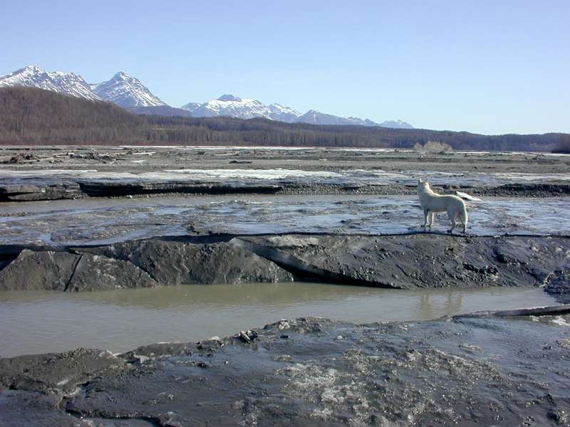 spring breakup in alaska