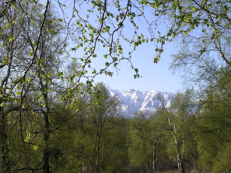 Pure white blanket on the spring mountains