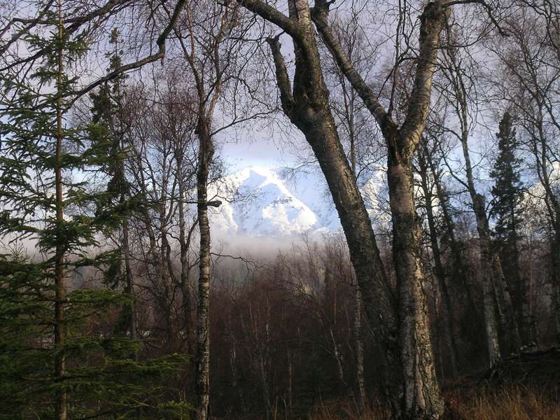 fresh snow on the Talketna Mountains